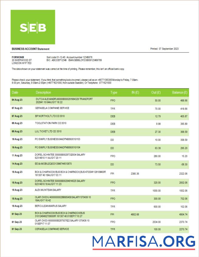 Realistic SEB Bank company statement Word and PDF template